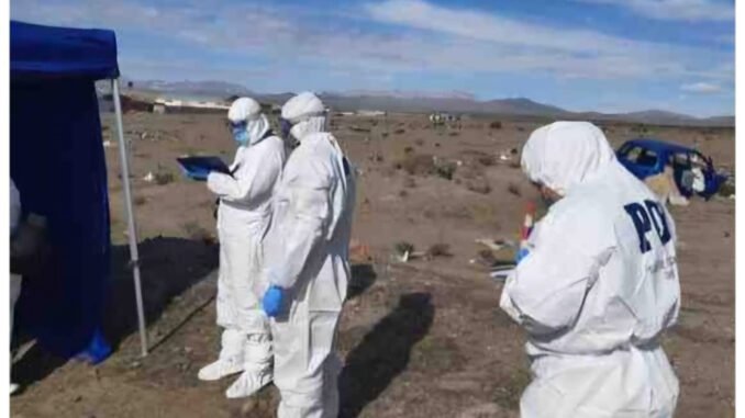 IMG-20251002-WA0011-1